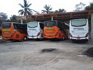 Brilian Purworejo: Mengantar Wisatawan Menuju Petualangan yang Tak Terlupakan