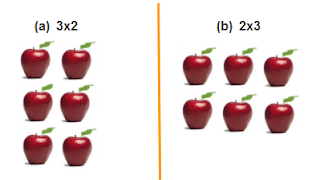 Susunan 6 buah apel. (a) susunan 3 × 2 buah apel (b) susunan 2 × 3 buah apel