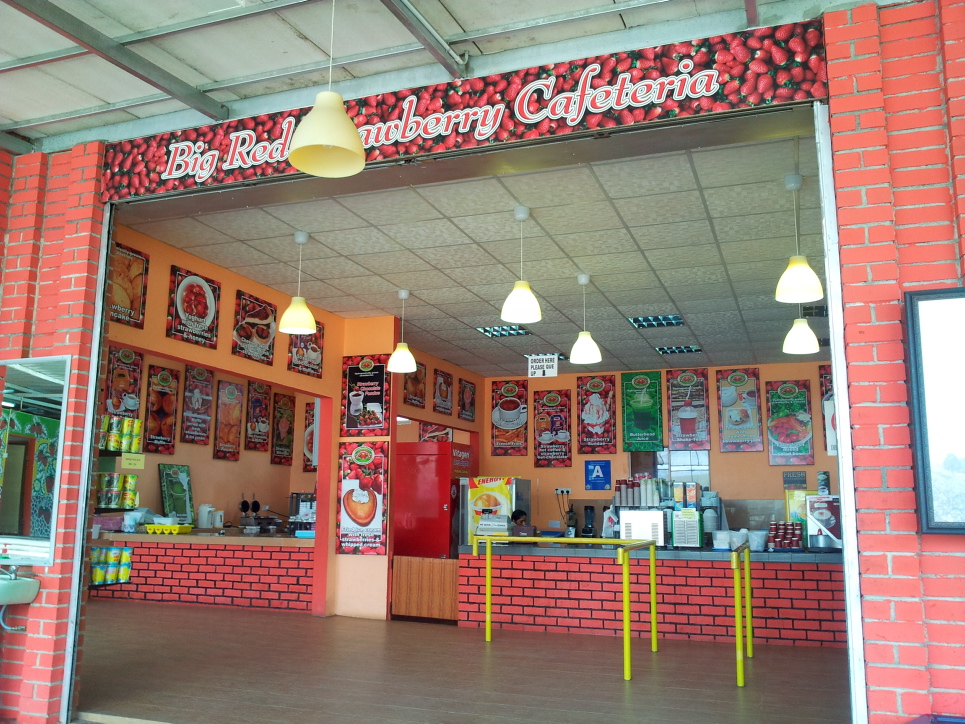 My Keju & Coklat Mendekati Si Ramarama & Jus Butterhead