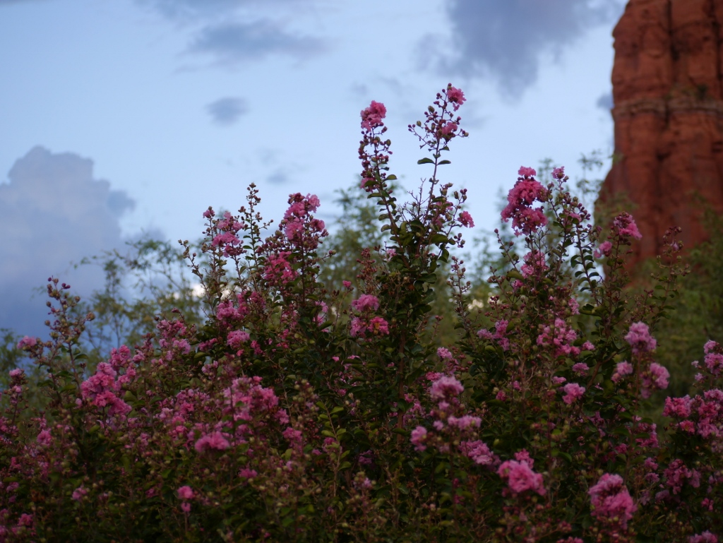 Sugarloaf Road Sedona Arizona  