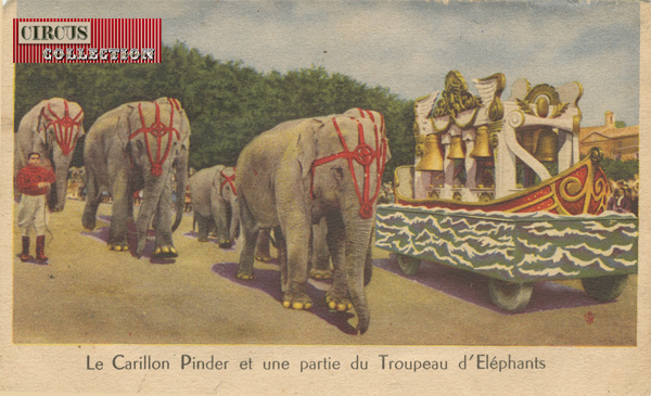 le carillon Pinder et une partie du troupeau d'éléphants