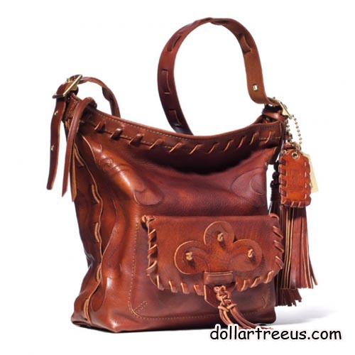 newsforbrand Anna Sui X COACH bag