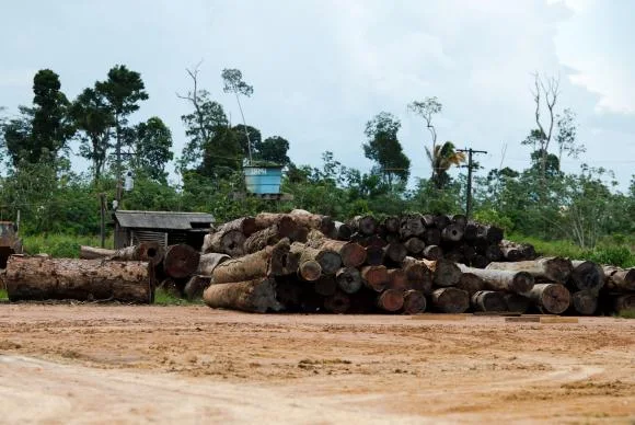  Image Attribute:  The economic crisis has affected all wood forest products based on extractives in 2015.Marcelo Camargo/Agência Brasil