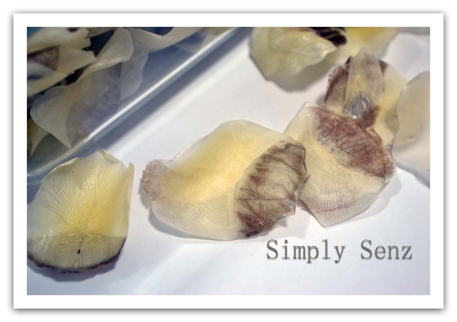 Simply Senz Fish Scales Jelly for osteoarthritis and beauty care