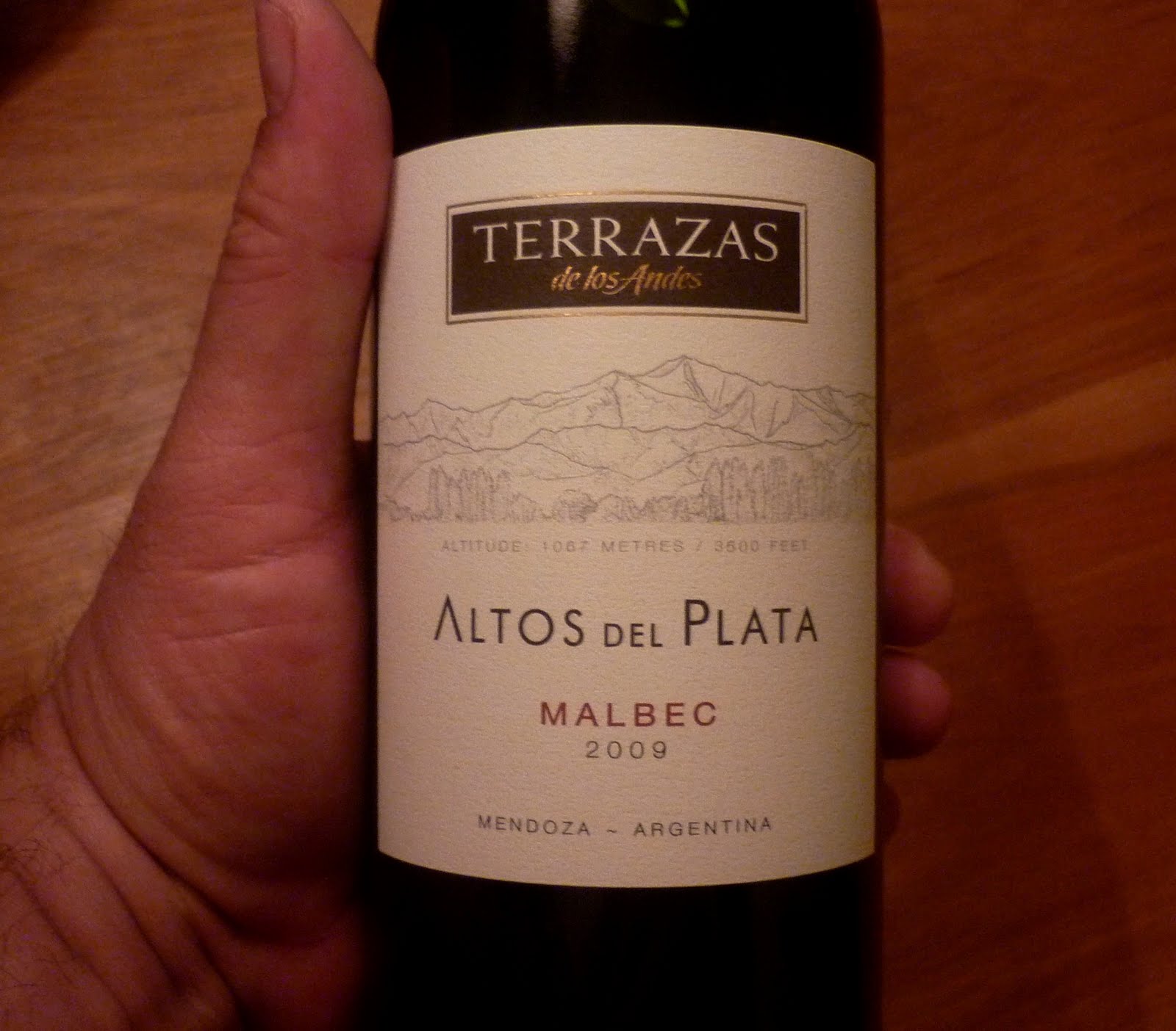 Argentina S Wines Revisited By Miguel Altos Del Plata