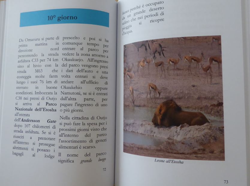 Come pubblicare un libro in formato cartaceo su Amazon Casalinga