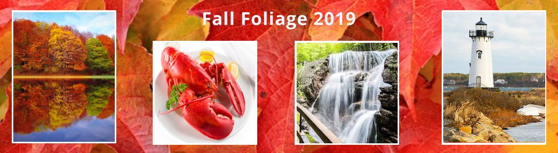 Fall Foliage - Indian Summer 2019