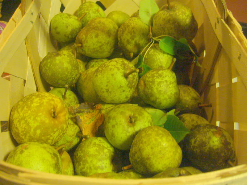 The Working Home Keeper Preserving the Season Canning Pear Honey