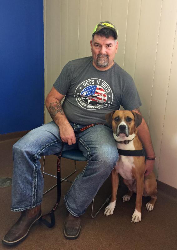 Certified Dogs Training Schools Illinois Certified Dogs Training Schools Illinois