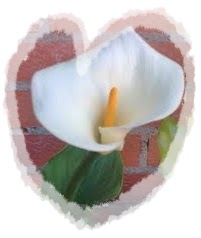  ¡¡Feliz día a todas las <strong>mamis</strong>!! 