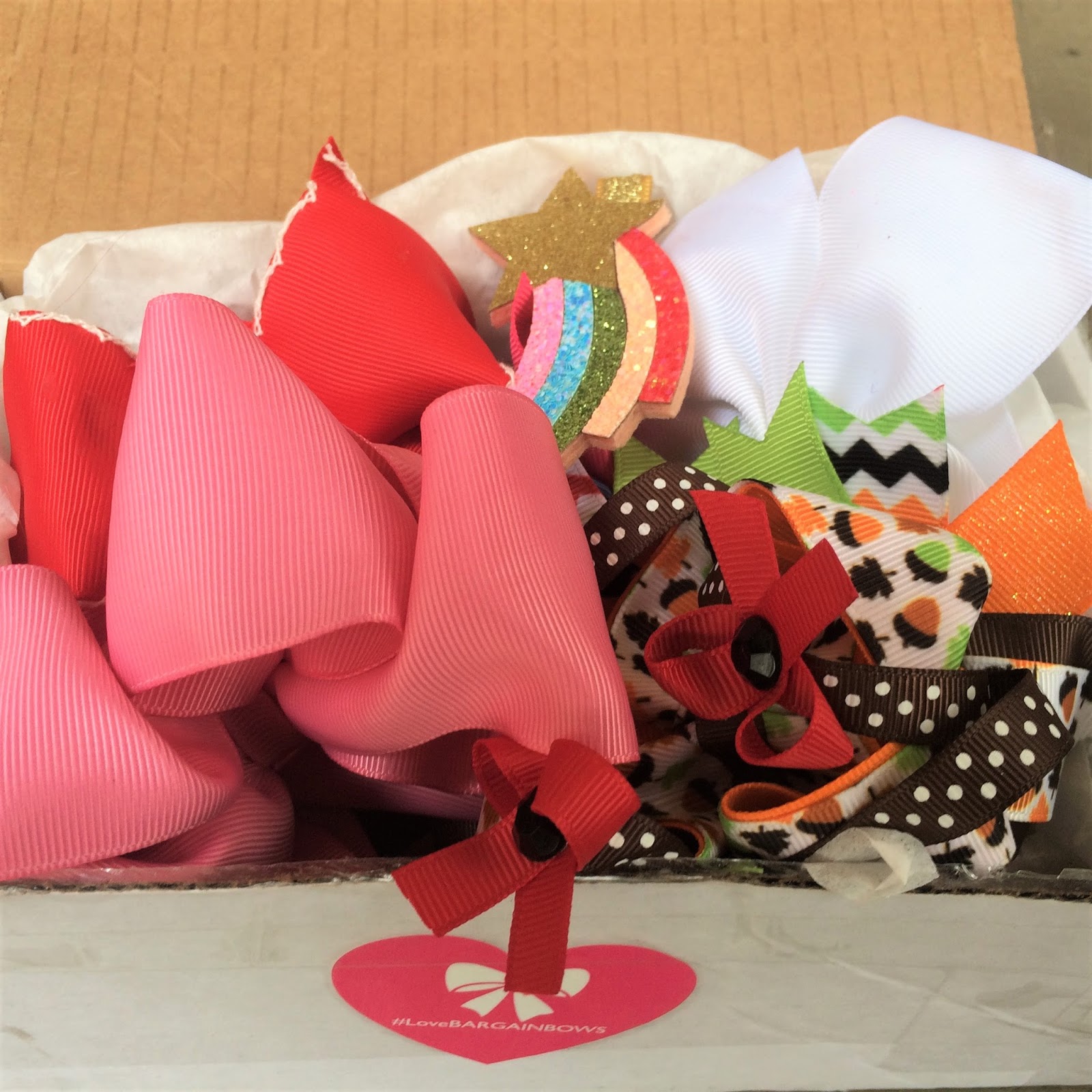 Bargain Bows Subscription Box Lizzandco_