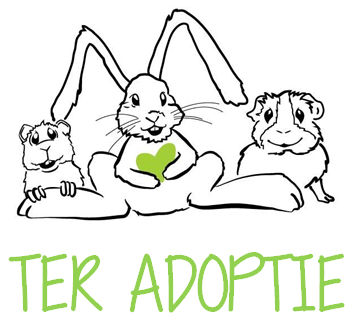 Ter Adoptie