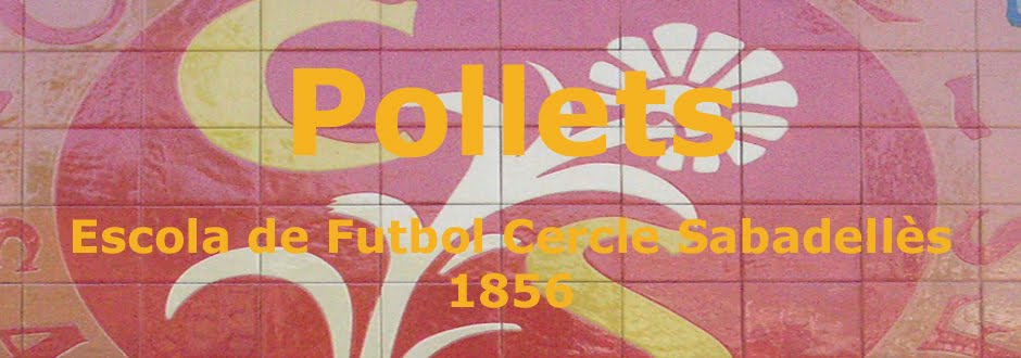 Pollets - Temporada 11-12