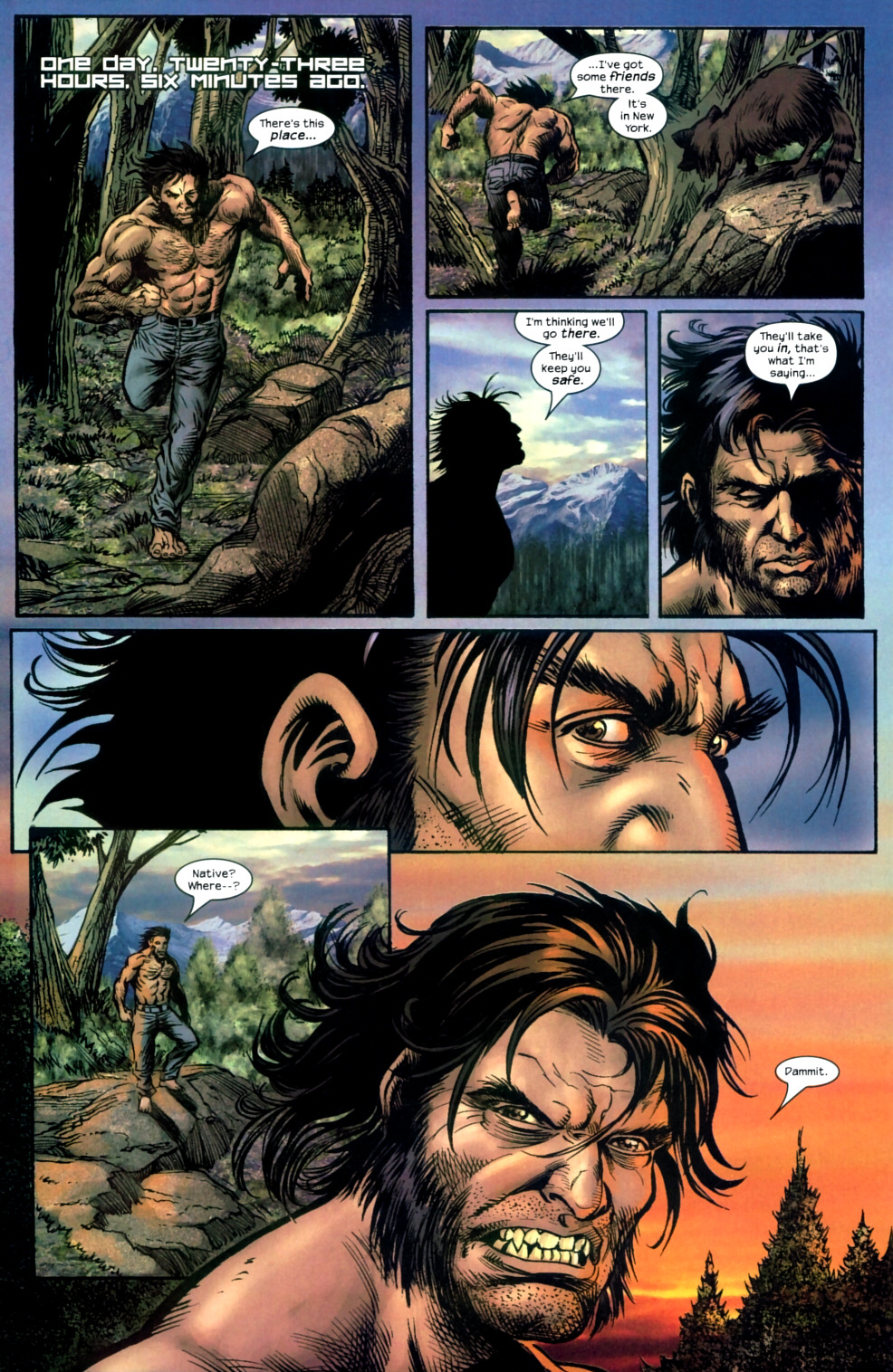 Wolverine (2003) Issue #19 #21 - English 9