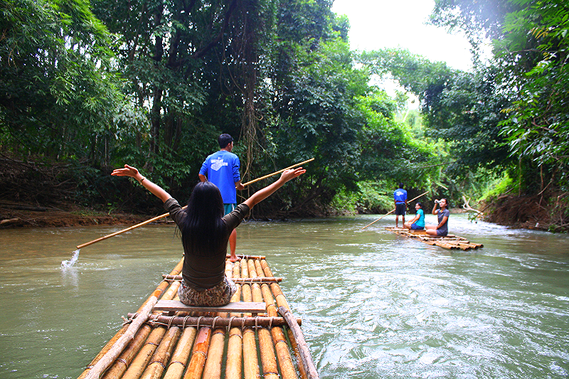 Safari Activity Tour