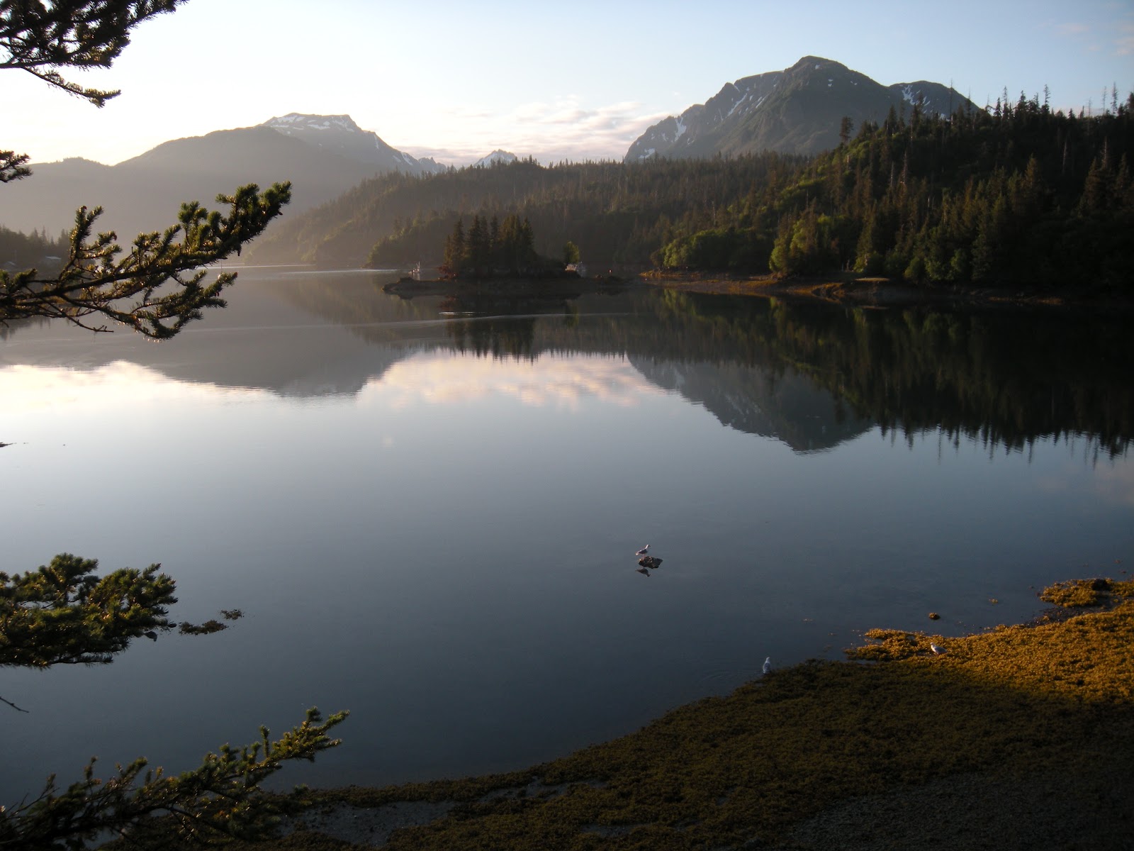 Life in Alaska — A View From Homer Stillpoint Lodge, Halibut Cove