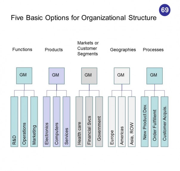 management business five basic options for organizational basic organizational structure