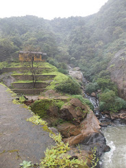 A view of the mountainside of "DUDHSAGAR WATERFALLS". from the Railway Bridge.