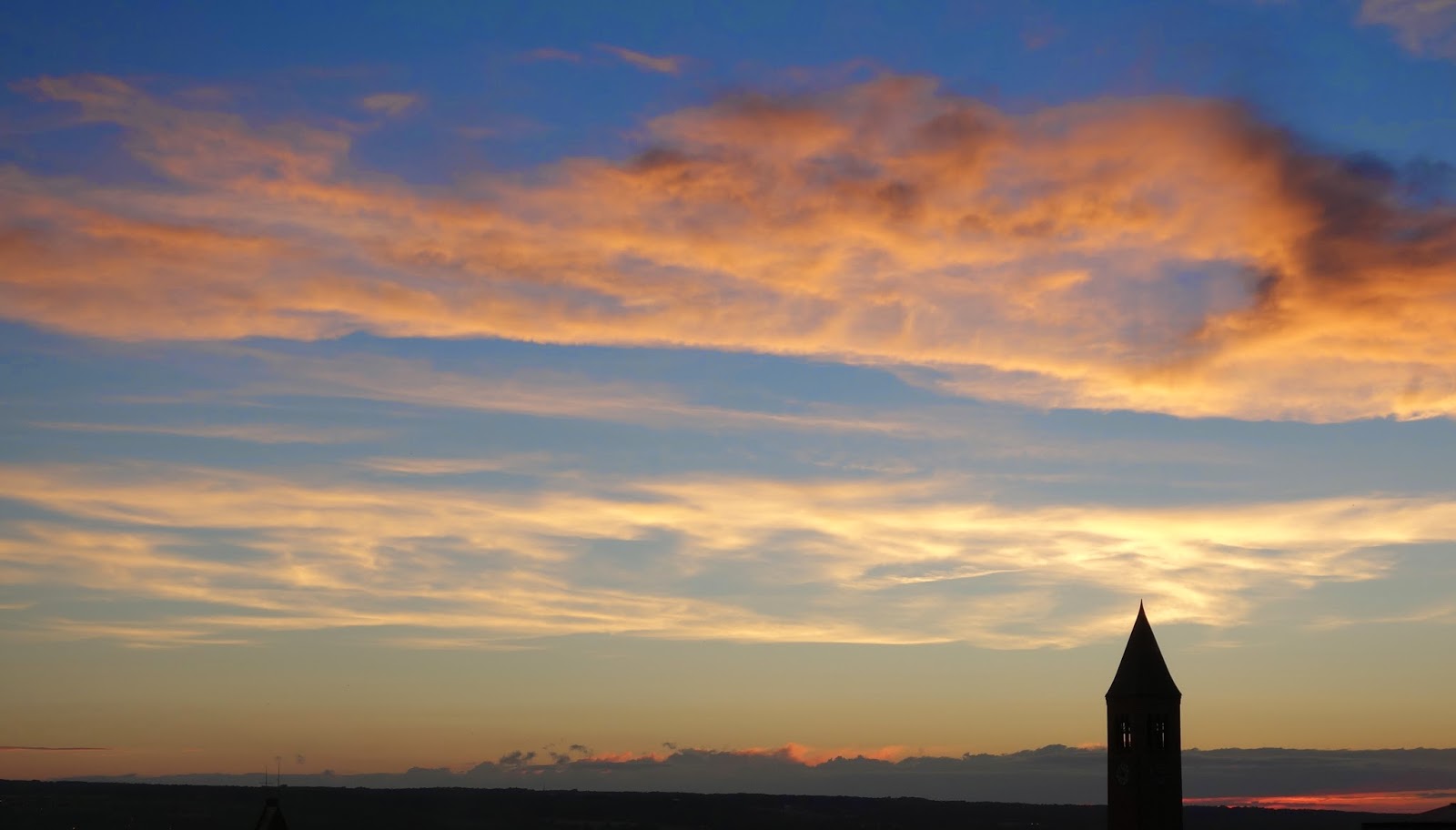 Why are Faculty Complicit in Creating a Disposable Workforce