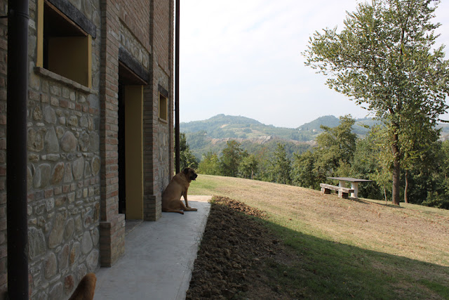 Bologna, Valsamoggia - Viinitarhoja ja koirahommia 35 Bologna, Valsamoggia - Viinitarhoja ja koirahommia 34