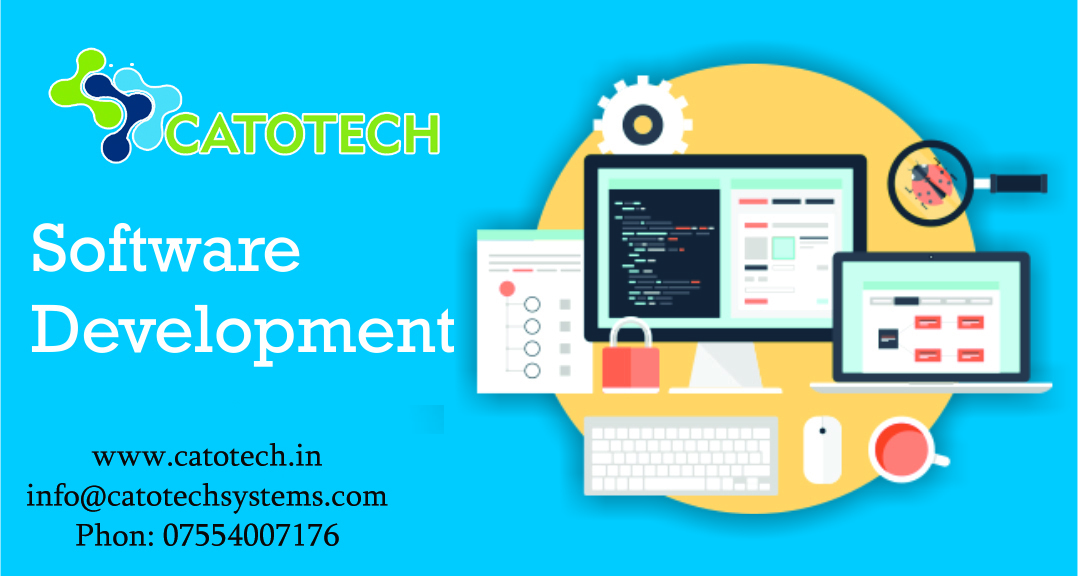 site Design and Software Development Services in Bhopal, India