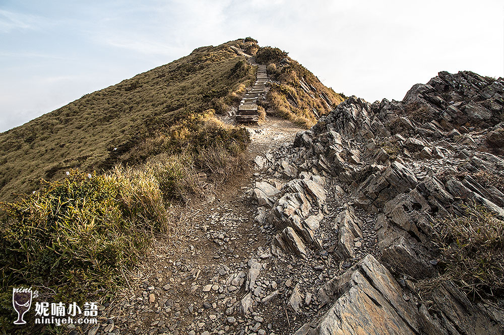 【南投景點】合歡山步道路線必讀指南。教你一次完成雙百岳