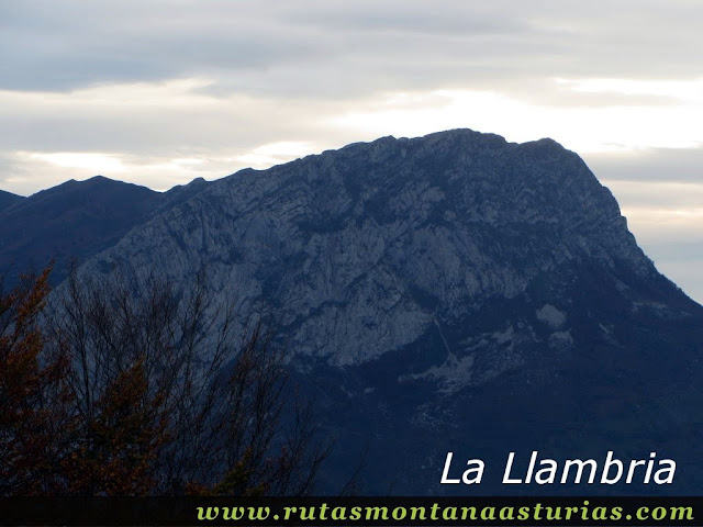 Ruta Bosque de Peloño: Vista de la Llambria