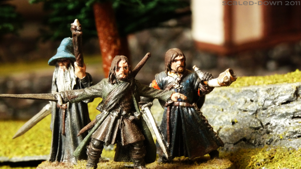 Scaled Down The Fellowship Of The Ring