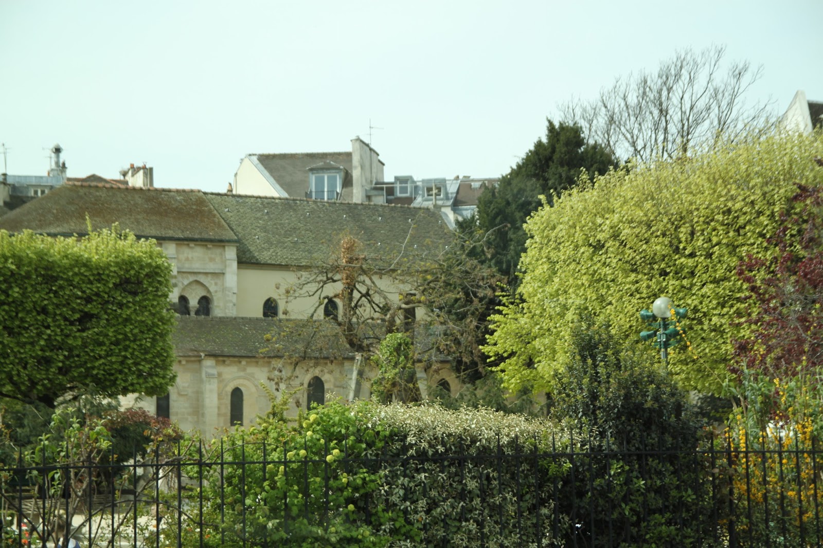Hawaii Horticulture Hedges In Hawaii S Landscapes Part 2