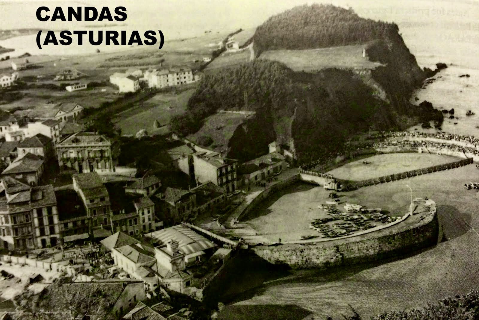 CANDAS TOROS