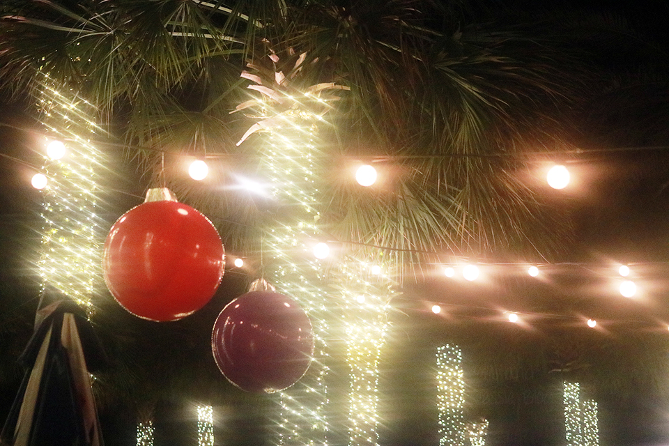 Zoo Lights at Jacksonville Zoo 2016