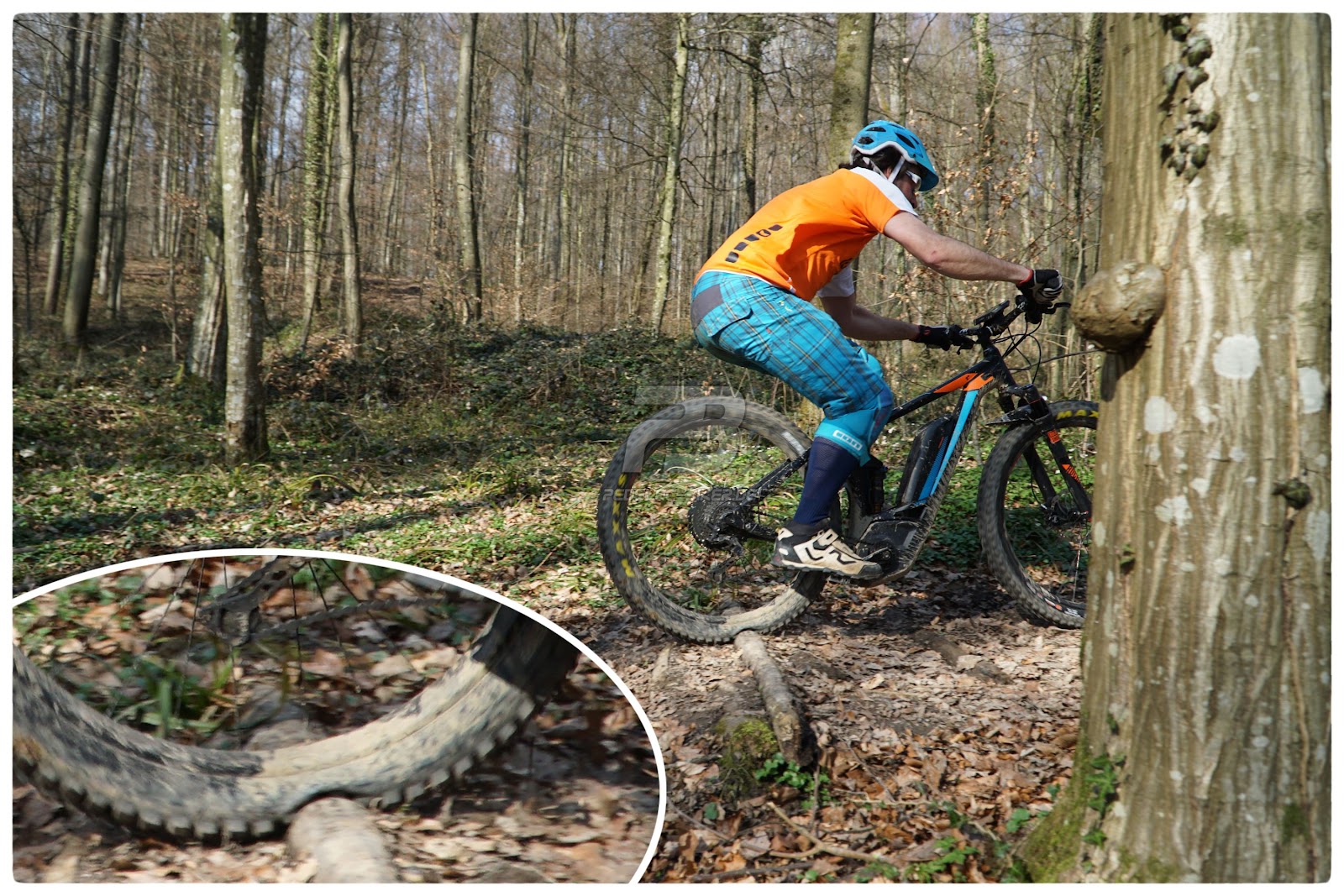 Die Franchise Gesellschaft Taunigma Februar 2018