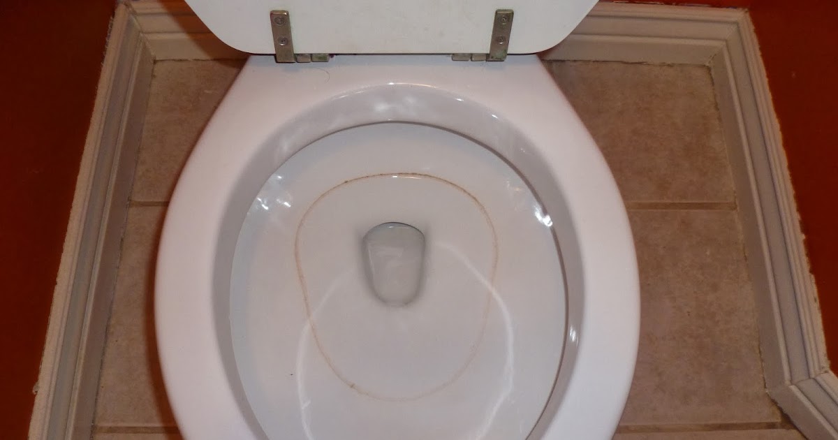 Loving Life Simply Ring Around the Toilet!