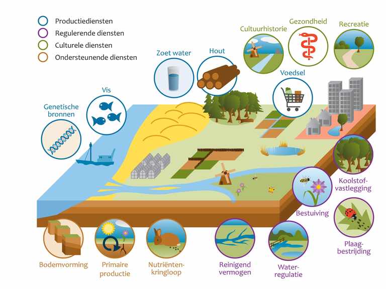 Groen en welzijn Hoe beoordeel je ecosysteemdiensten?