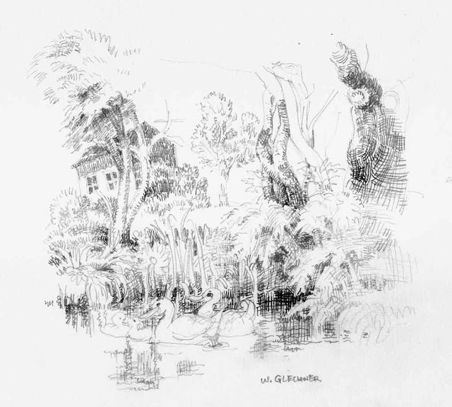duck family on a pond, enten am teich, wolfgang glechner, bleistift, zeichnung, pencil, drawing
