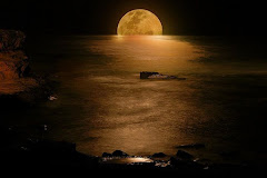 Luna llena en la noche frente al mar