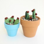 how to make Cactus Rock Garden