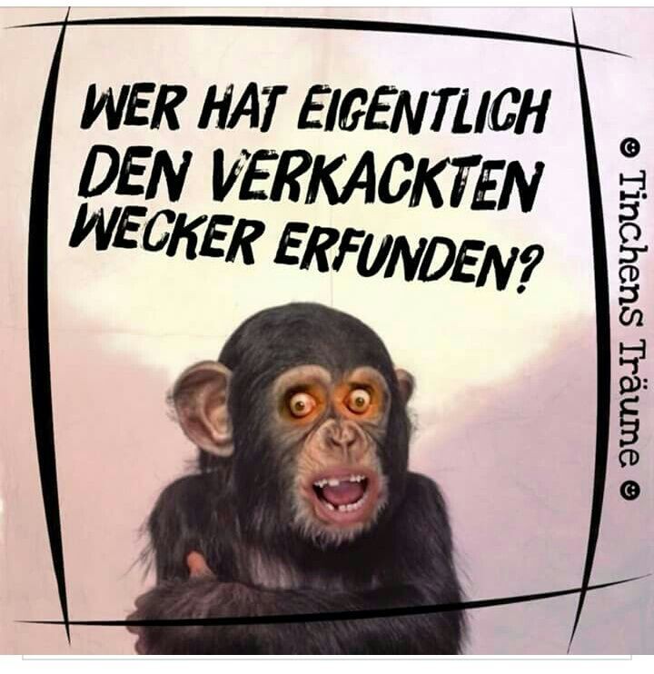 Franzhuber23 Januar 2017