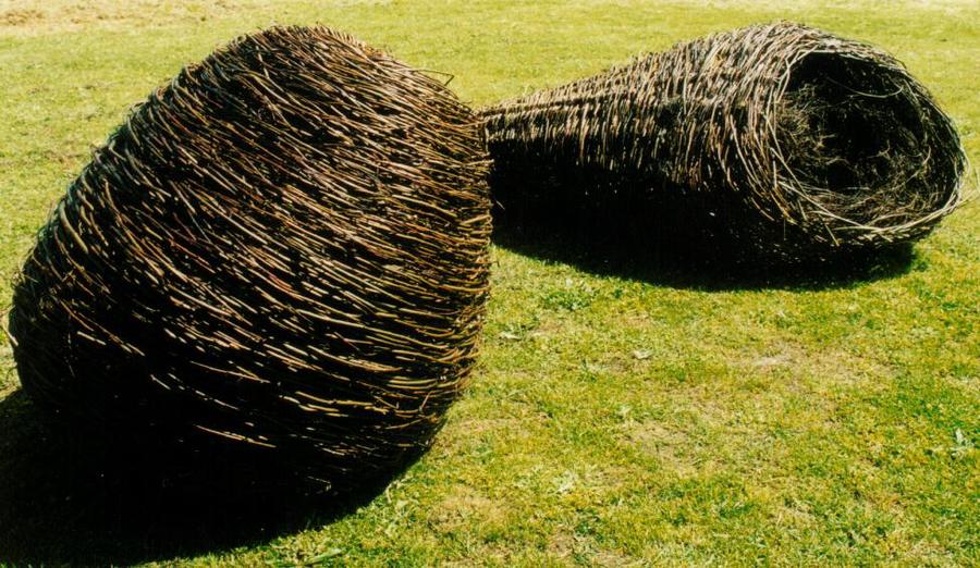 Contemporary Basketry Willow