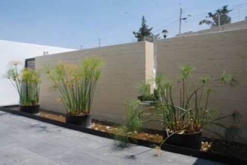 LENTERA KARYA BONDOWOSO: TAMAN MINIMALIS