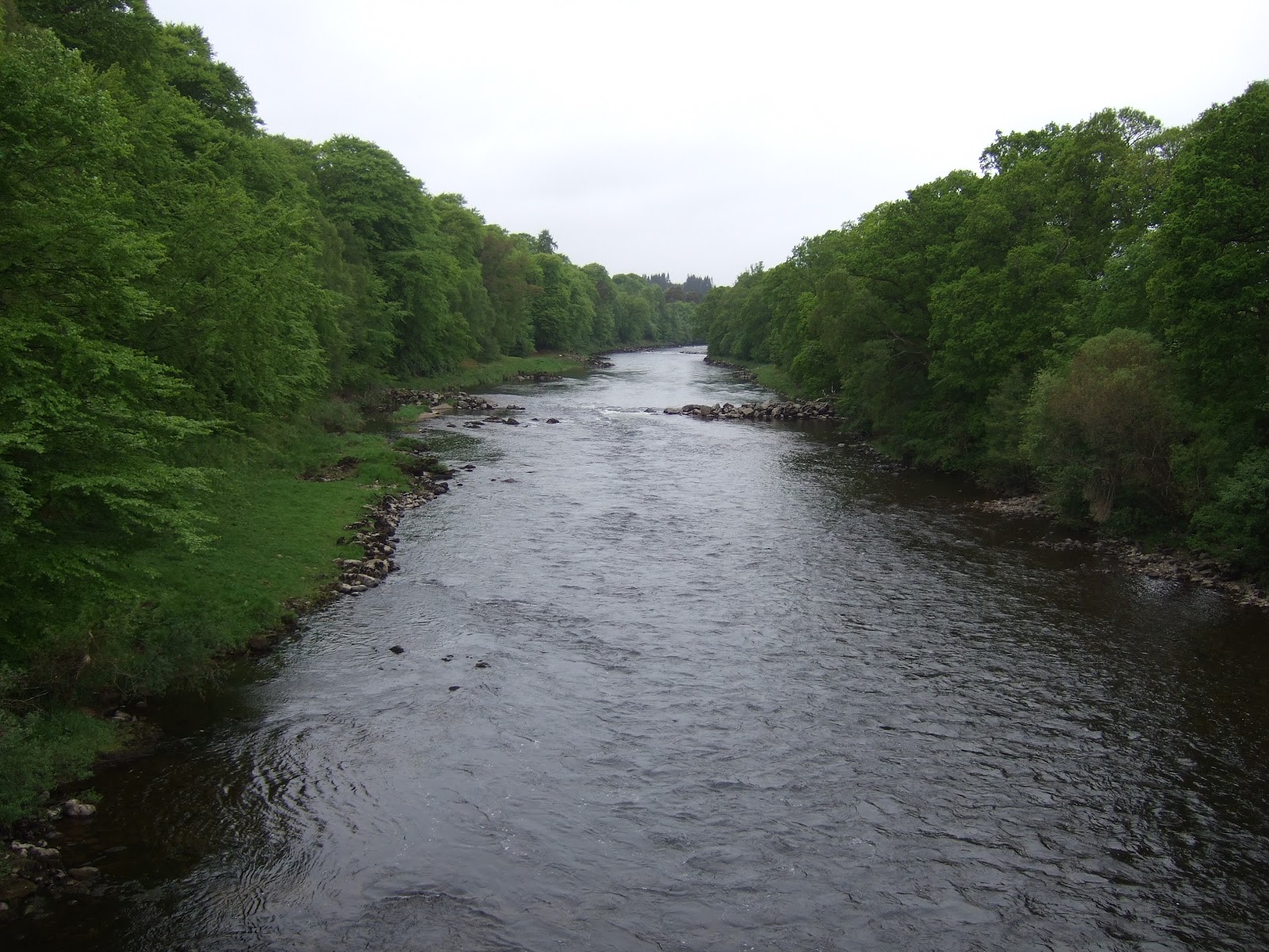 Dee & Don Salmon Fishing River Dee At Lower Blackhall