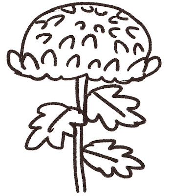 菊のイラスト（花） モノクロ線画