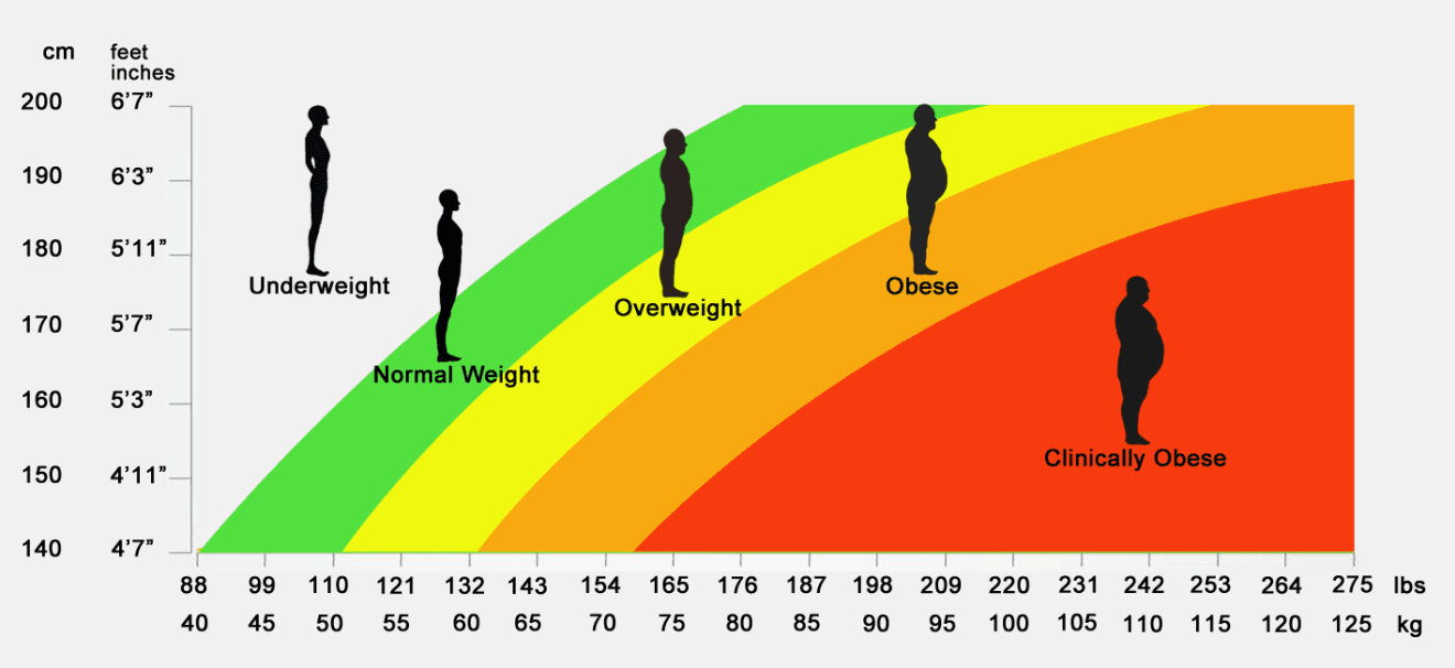 Chart To Tell If Your Overweight