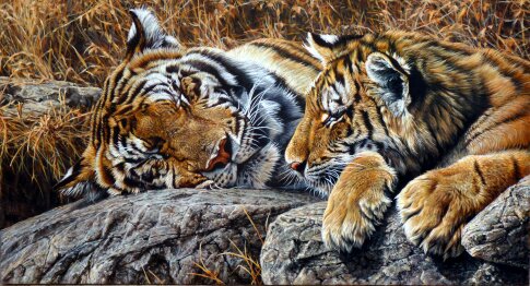 Oil Paintings Of Birds Of Prey In London Oil Paintings Of Birds Of Prey In London