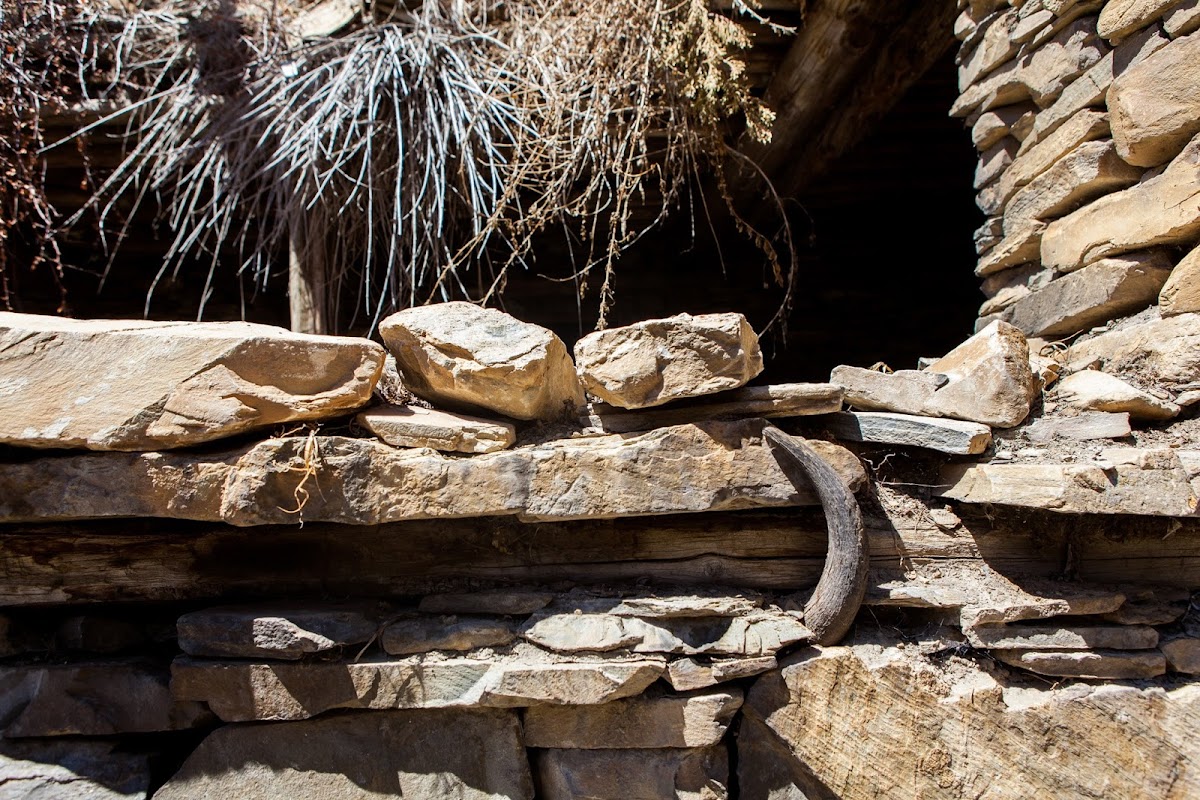 200км по красно-белым черточкам.. Around Annapurna. март-апрель 2017
