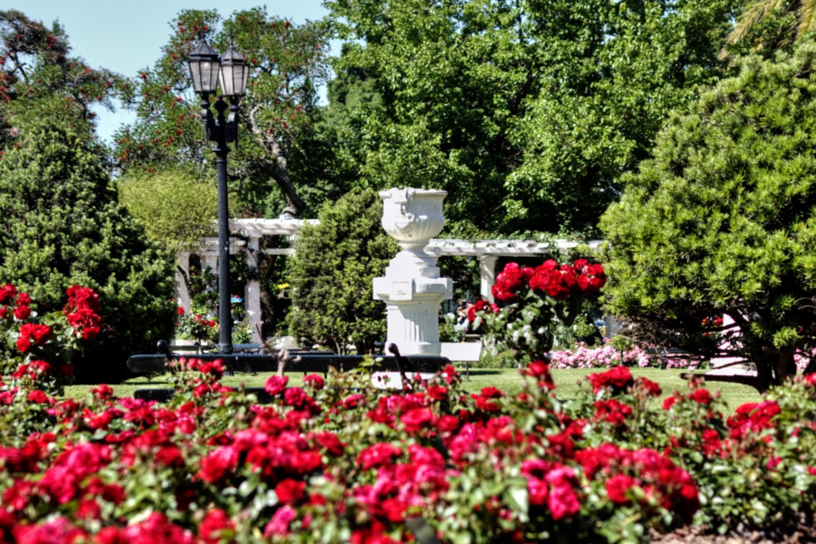 Esquivando Fronteras: El Rosedal de Palermo