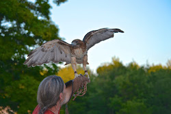 prey killingworth surrounding towns focus ct protect took evening wild few friends help