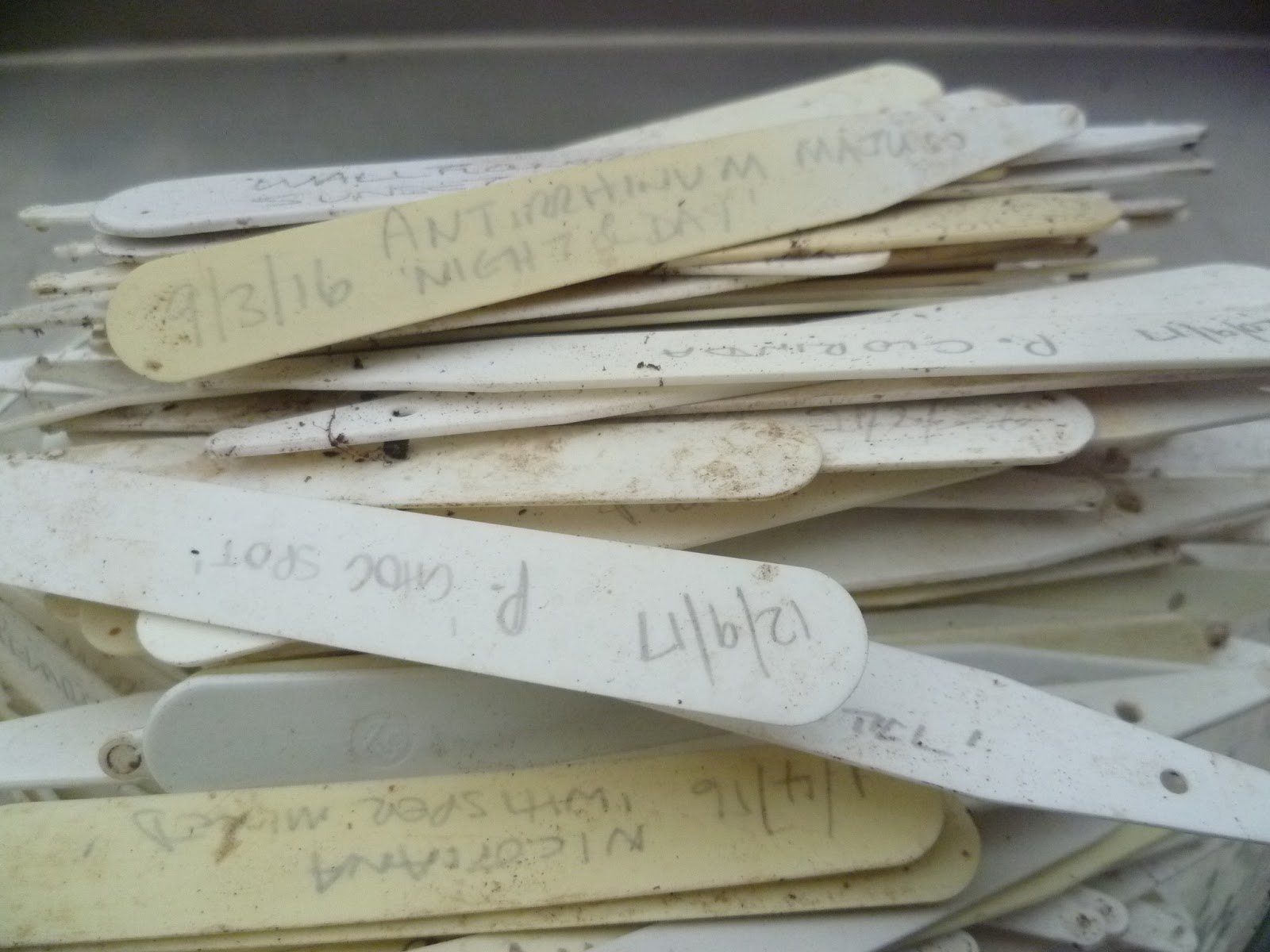 Worcester College Gardeners 20092018 Recycling The Plastic Plant Labels