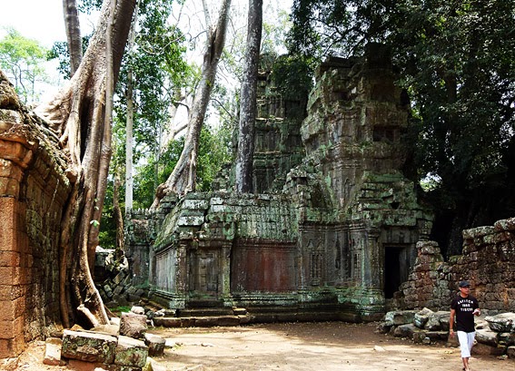 Angkor Thom Temple Nature takes it back