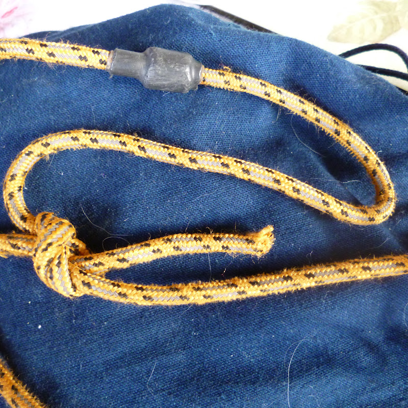 Gundog rescue Claire Paw of Sweden Broken Leash